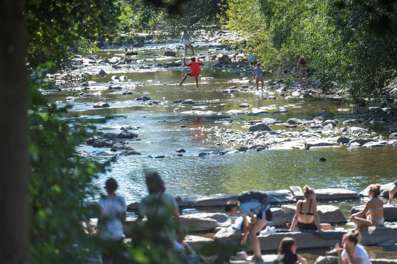 Dreisam
