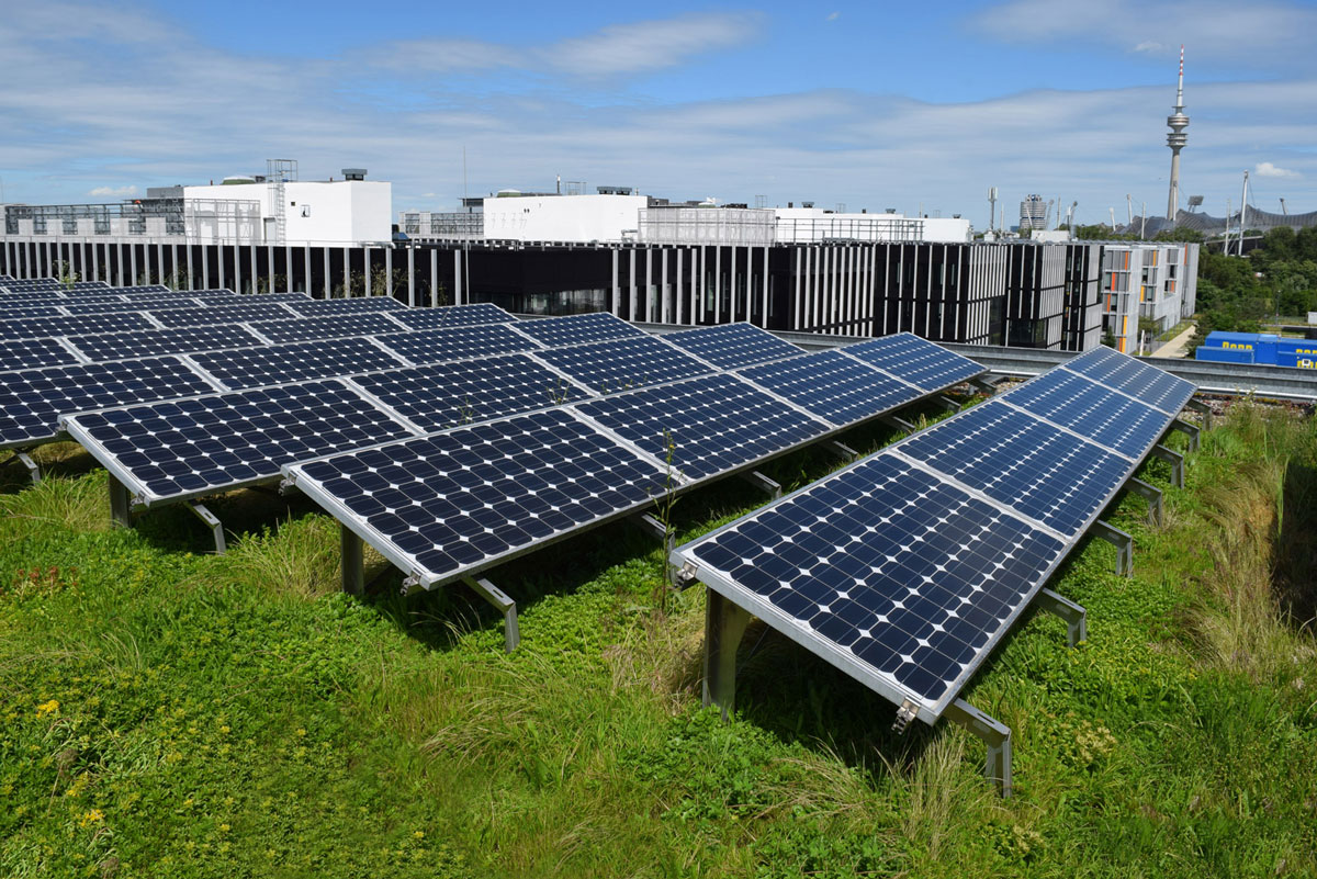 Kombination von Photovoltaik und extensiver Dachbegrünung