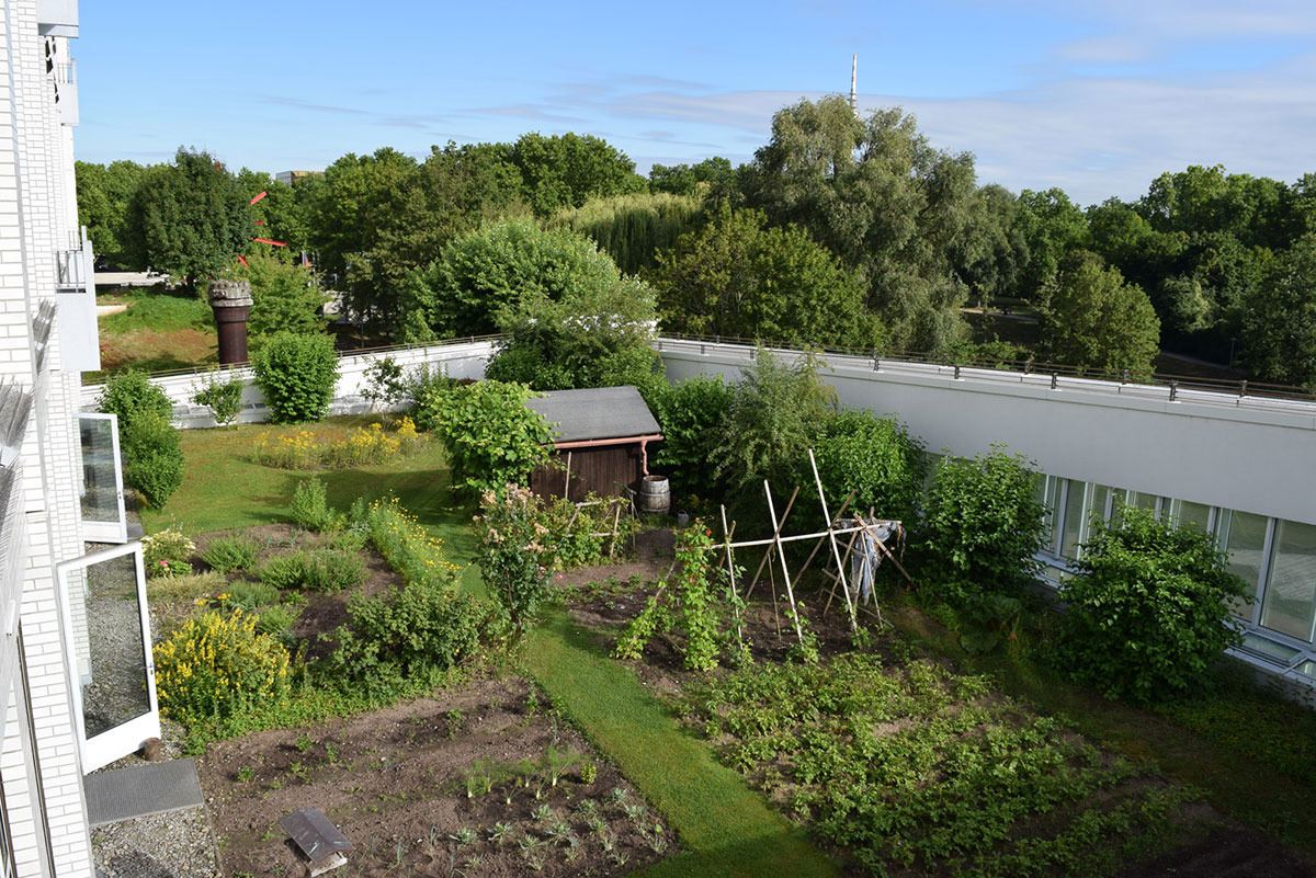 Intensivbegrünung mit Dachgarten in Mannheim