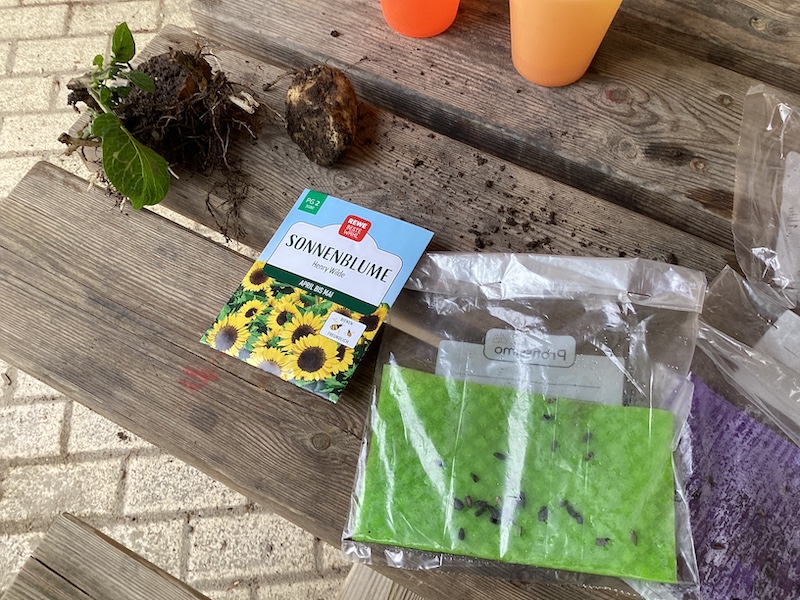 Im Garten wird gepflanzt.