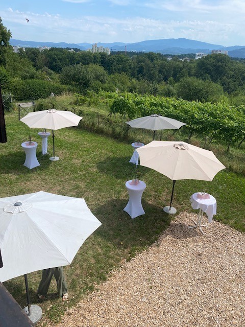 Sektempfang im Garten Sektempfang im Garten
