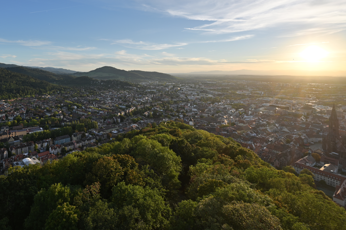 Blick auf die Stadt Freiburg
