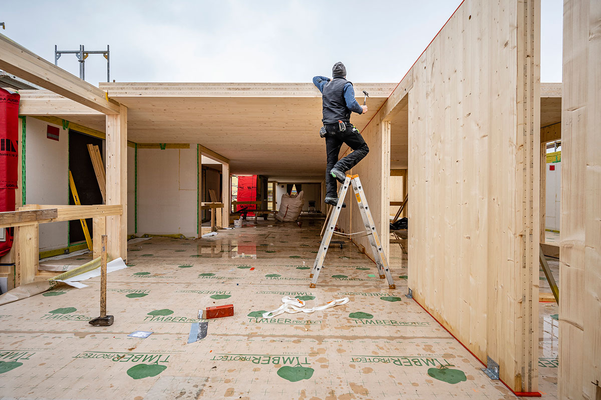 Ausstellung im Waldhaus
