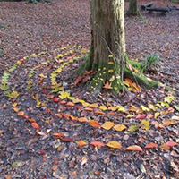 Spiralförmig um Baumstamm herum gelegte bunte Blätter