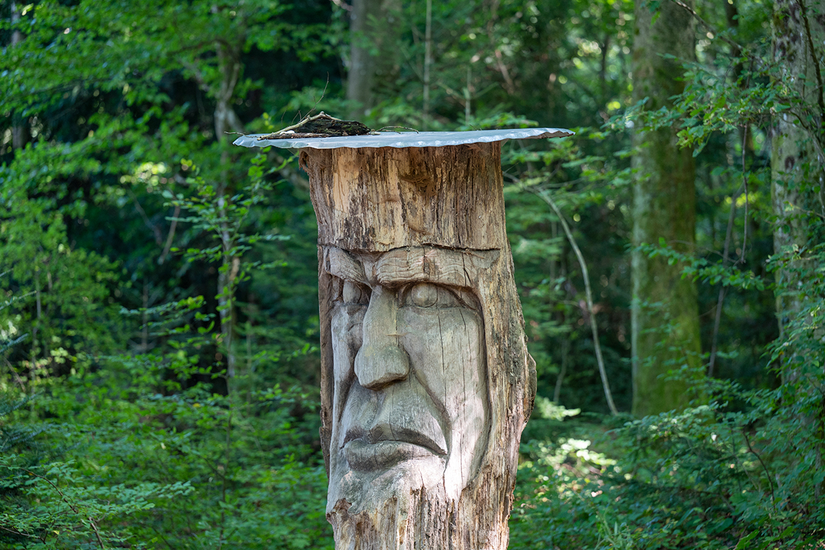 Geschnitzes Gesicht in einem Baumstumpf im Wald