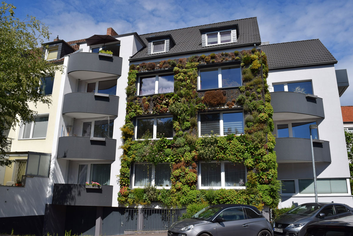 Hannover: Wandgebundene Fassadenbegrünung (Living Wall)