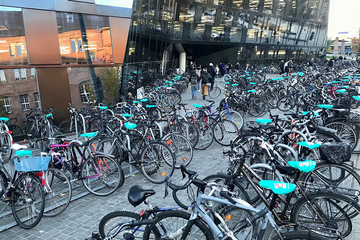 Sattelschoner mit dem Schriftzug "Jetzt oder Now" auf parkenden Fahrrädern vor der Uni-Bibliothek