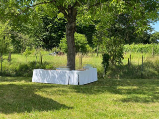 Sektempfang im Garten