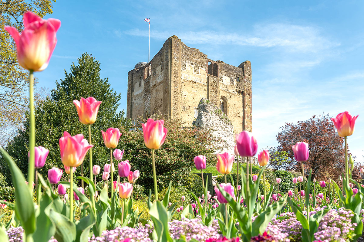 Castle Grounds