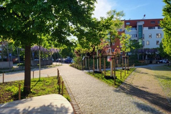 Gepflasterter Gehweg umgeben von kleinen Grünflächen mit Bäumen