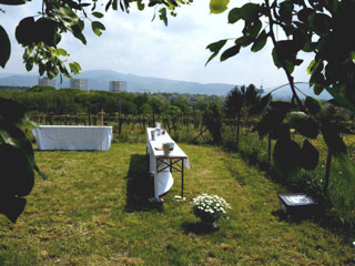 Sektempfang im Garten