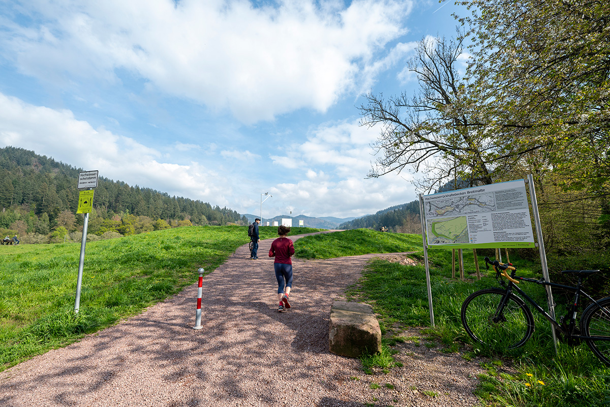 Weg entlang des Regenrückhaltebeckens
