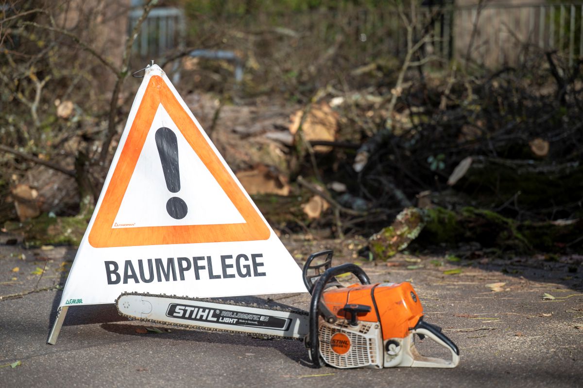Warnschild mit Schriftzug "Baumpflege" neben einer Motorsäge
