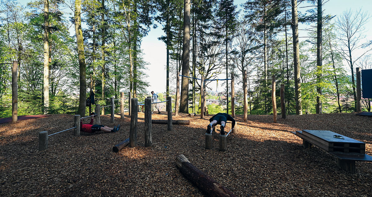 Mehrfachnutzung im Sternwald - Erholung/Freizeit – Mehrfachnutzung Forstflächen: Der Bewegungspark im Sternwald ist ein freizugänglicher Trainingsort für Freiluftsportler_ innen mit Sportgeräten, um einzelne Bewegungsabläufe zu trainieren.