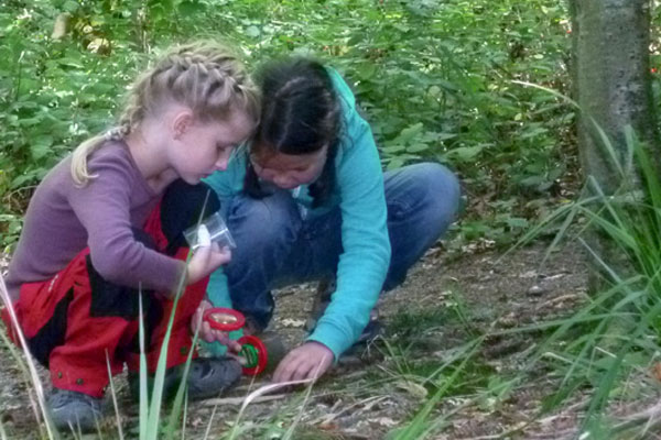2 Mädchen suchen mit Lupengläsern im Wald