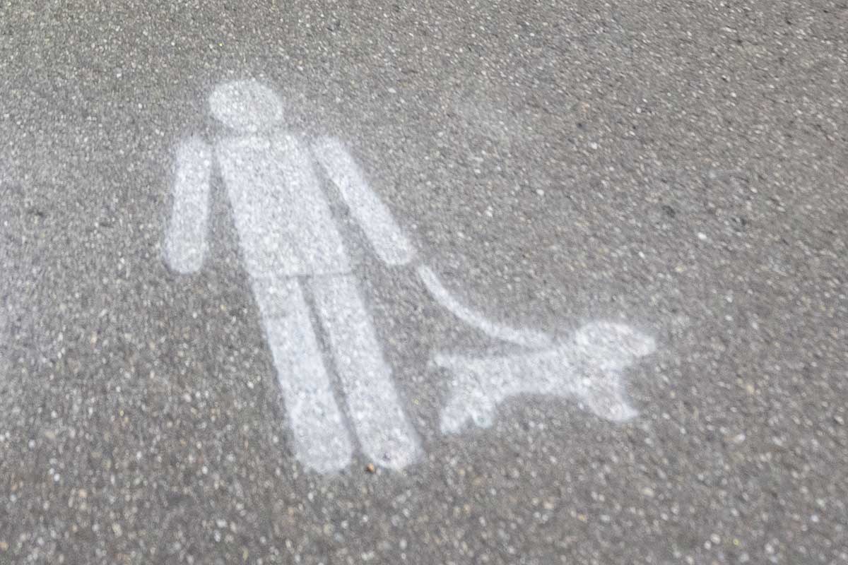 Aufgesprühtes Pictogramm auf Weg: Mensch mit Hund