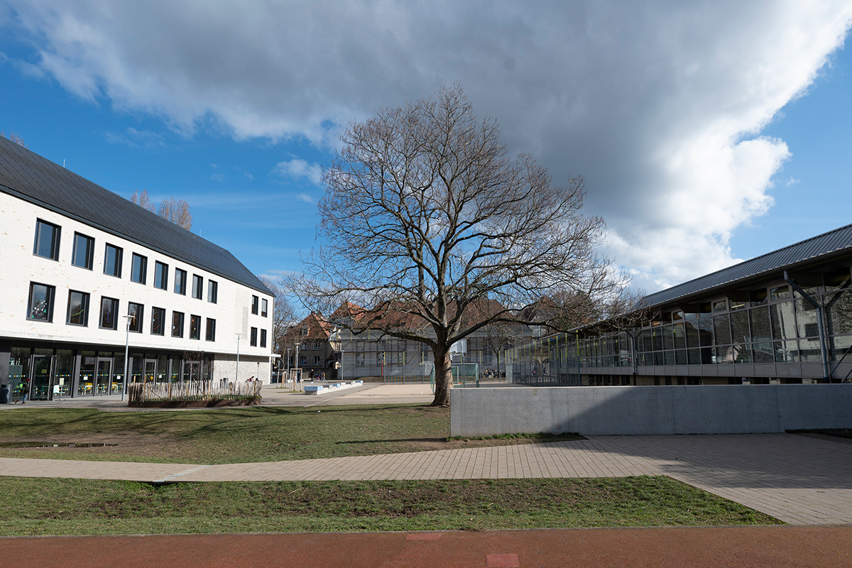 Schulhof mit Gebäuden rechts und links, in der Mitte ein großer Baum.
