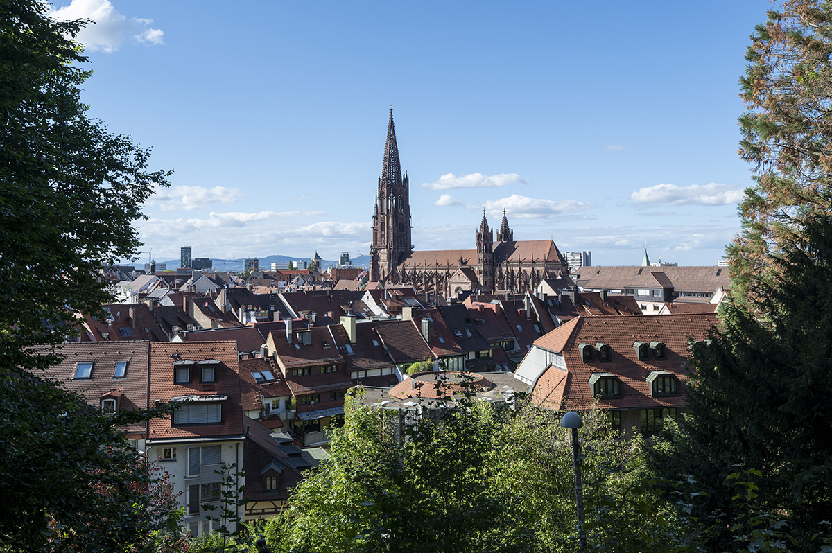 Zahlreiche Häsuer im Vordergrund, das Freiburger Münster im Hintergrund.