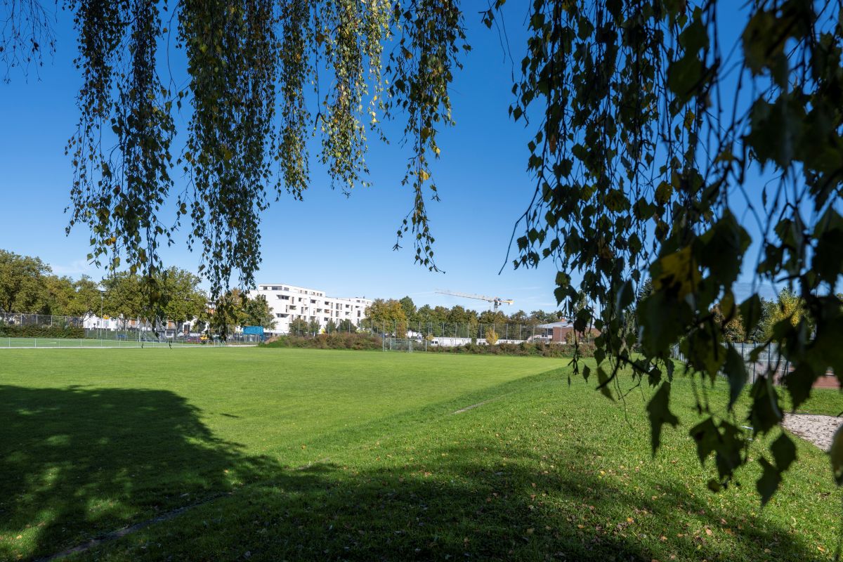 Blick auf einen Rasenplatz