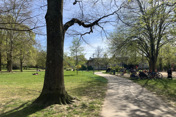 Rahmenplanung Zähringen Weg durch einen grünen Park