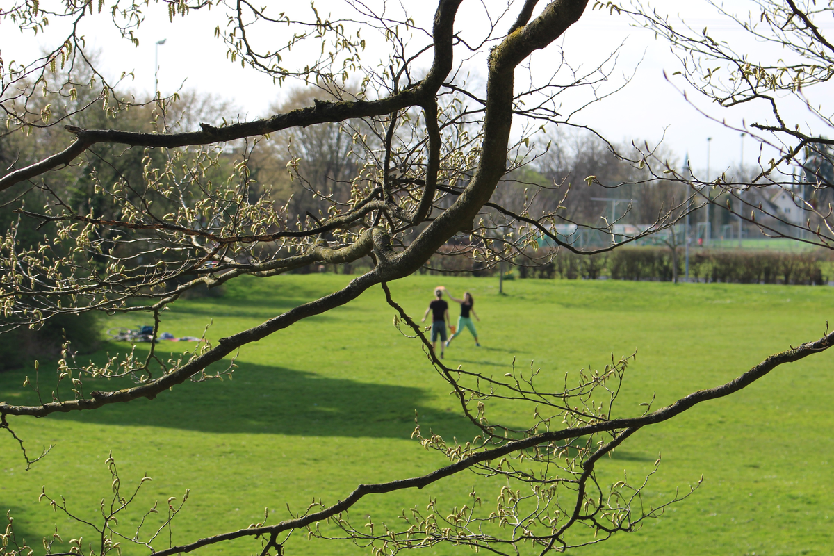 Grüne Wiese auf der sich zwei Personen sportlich bewegen