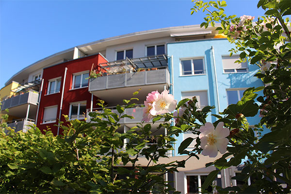 Wohnungseigentümergemeinschaften sanieren – ein großes Potenzial für Freiburg