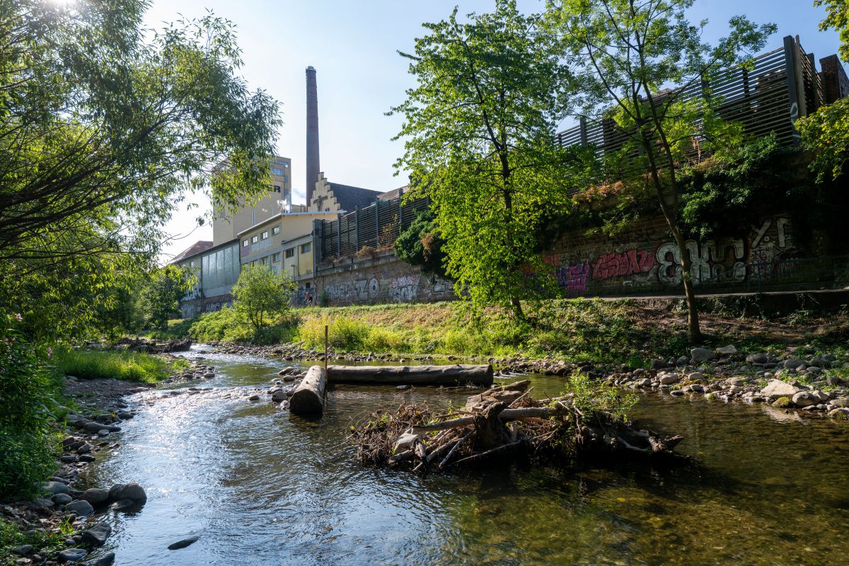 Kaltwasserpools in der Dreisam mit der Ganter-Brauerei im Hintergrund