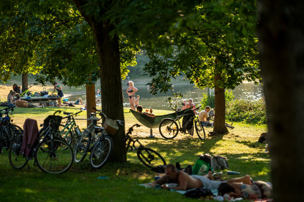 Personen liegen in einem Park auf Handtüchern oder stehen in der Sonne