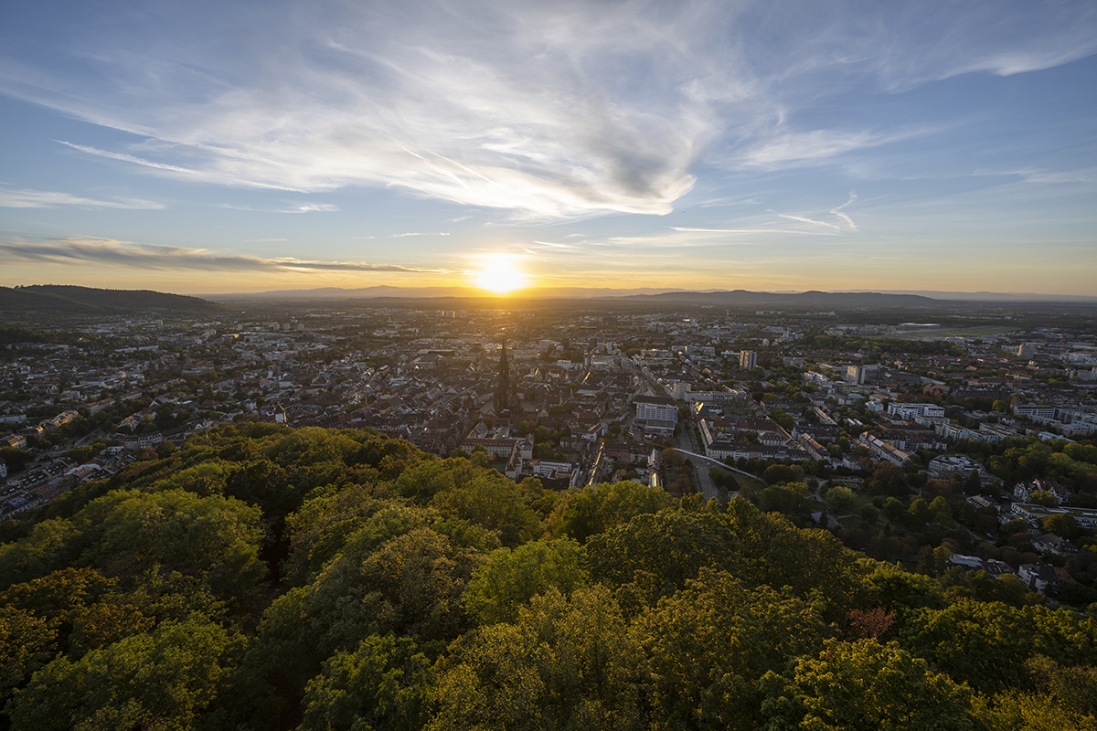 Blick auf die Stadt Freiburg, viele Häuser