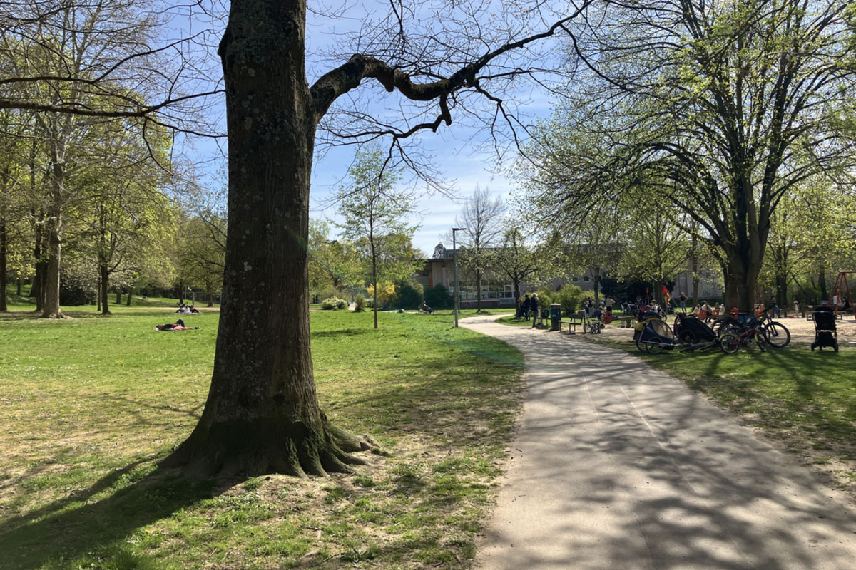Park mit grüner Wiese, Bäumen und Weg 