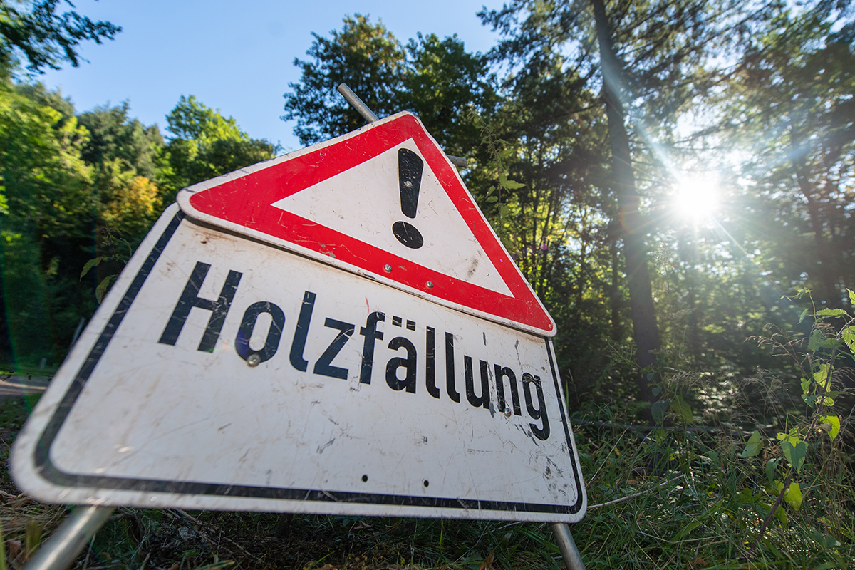 Schild: Holzfällung! im Wald