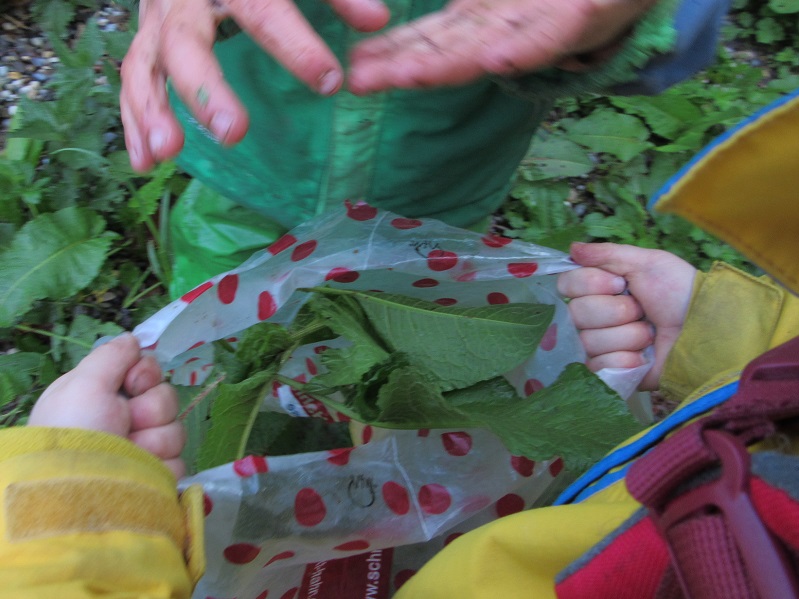 Auch Blätter müssen mit.