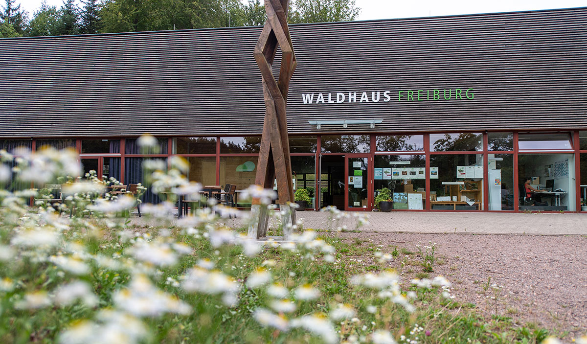 Eingangsbereich des Waldhauses