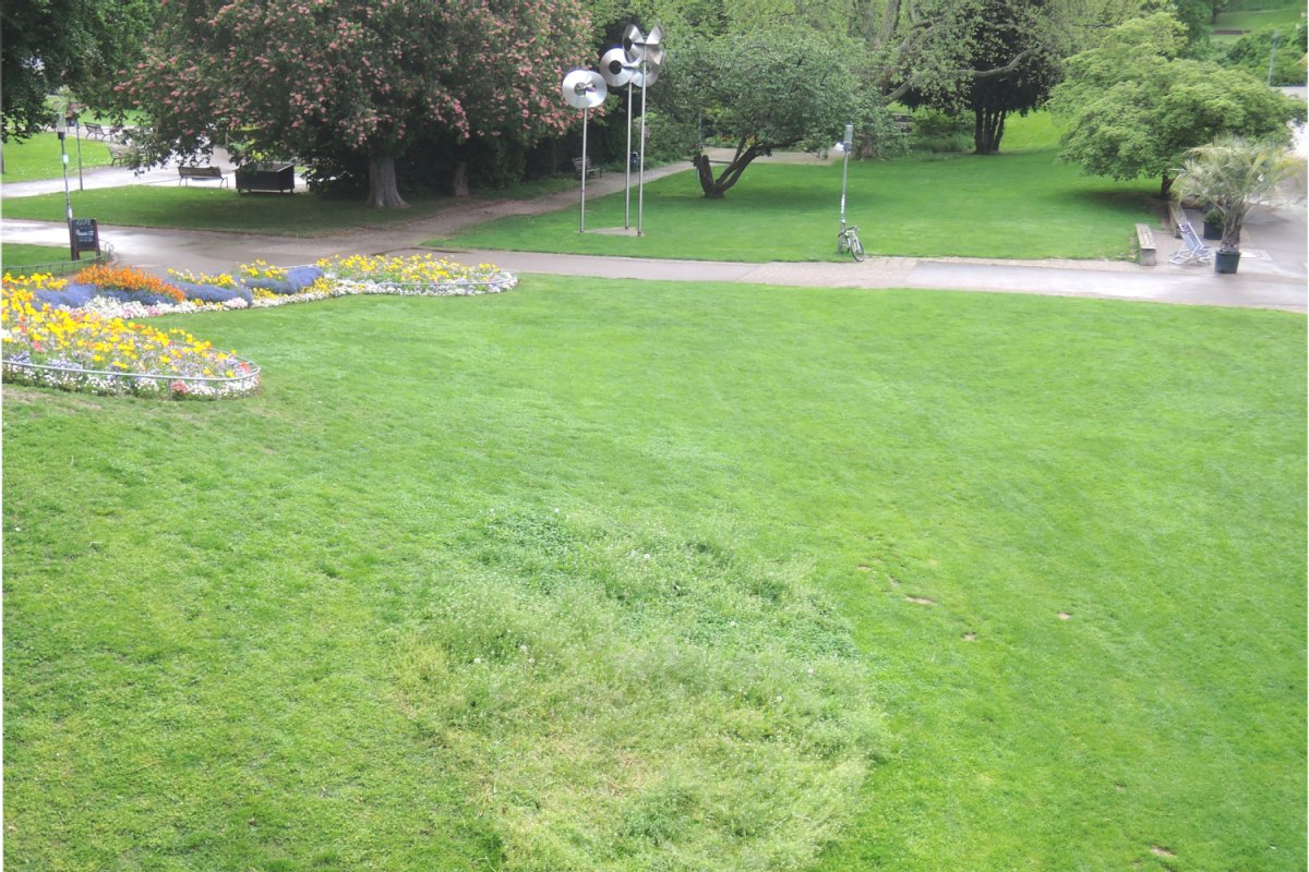 Parkanlage mit Wiese, BlumenBepfanzungen und Gehwegen