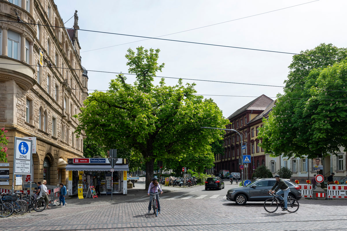 Blick auf den Straßenraum neben dem Kiosk am Holzmarkt