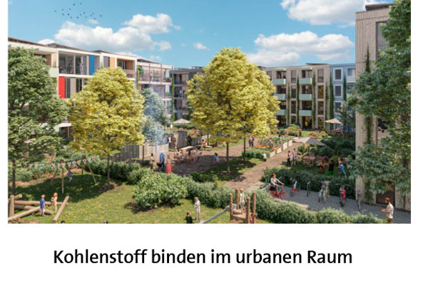 Kohlenstoff binden im urbanen Raum: Bauen mit Holz
