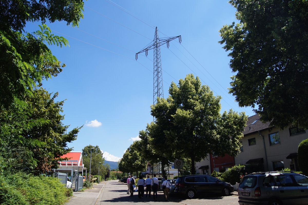 Freileitungen mit Weg, Wiese, Bäumen und Himmel