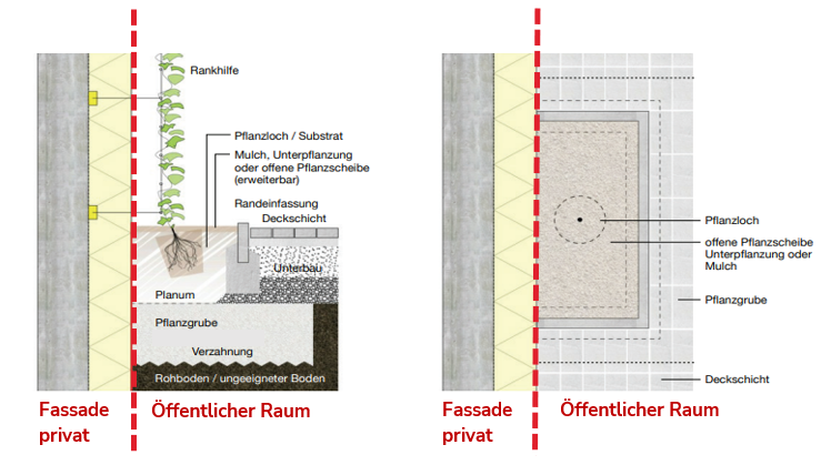 Grafik einer Fassade mit Rankhilfe, Bodenbeschaffenheit und Befestigungen