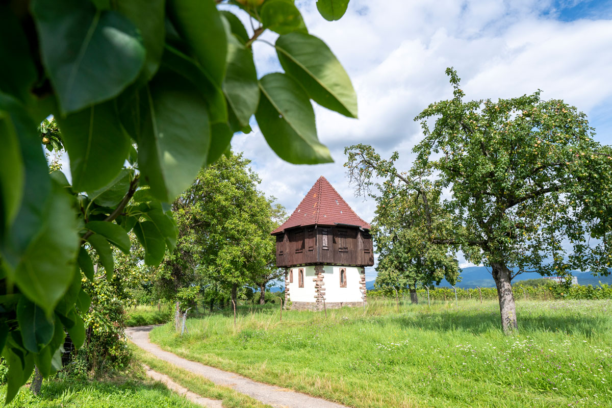 Das Türmle auf dem Lehener Bergle Das Türmle auf dem Lehener Bergle
