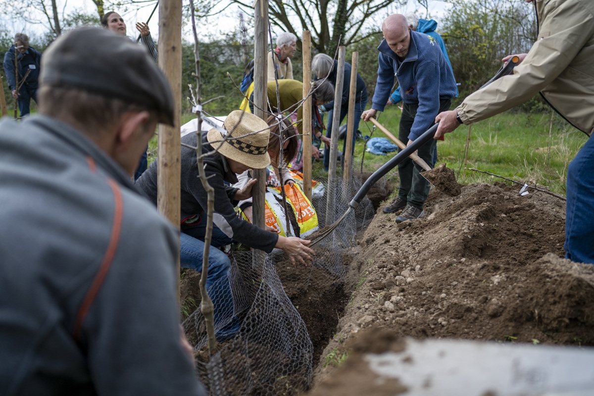 Menschen knien auf dem Boden und arbeiten mit Spaten und Hacke. Sie setzen Bäume in einer Reihe in die Erde.