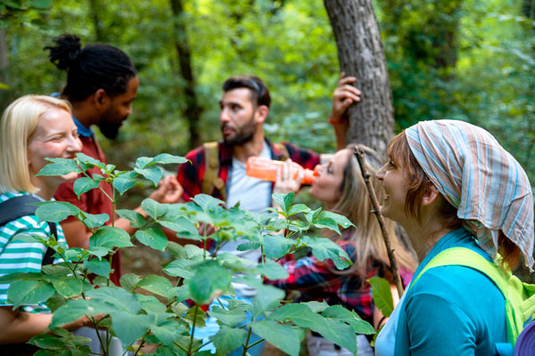 Foto: Biserka Stojanovic/istock.com Eine Gruppe junger Erwachsener im Wald