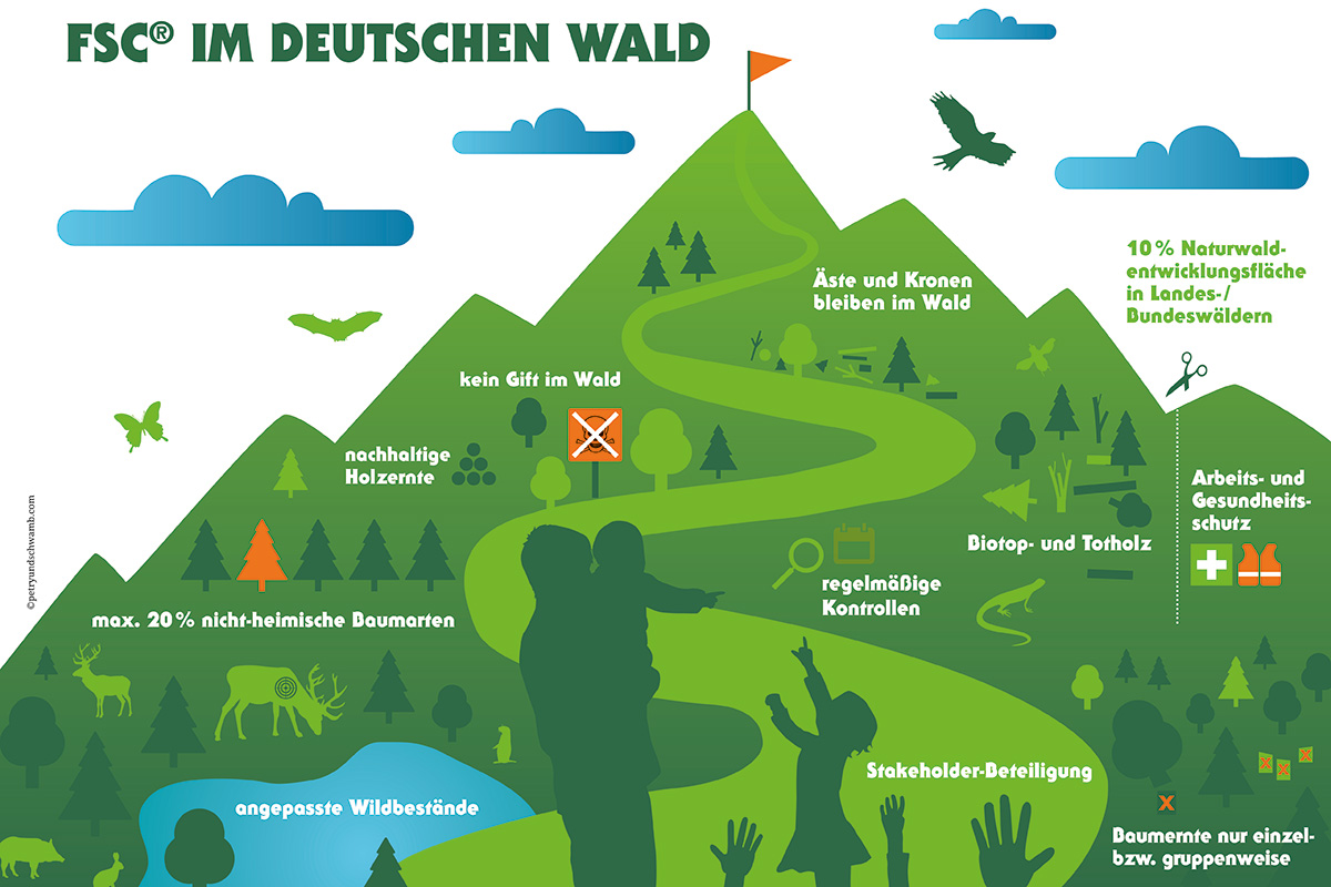 Grafik mit grünem Wald, Titel: FSC im deutschen Wald, Beschriftung: "angepasste Wildbestände / max. 20 % nicht-heimische Baumarten / nachhaltige Holzernte / kein Gikft im Wald / Äste und Kronen bleiben im Wald / regelmäßige Kontrollen / Biotop- und Totholz / Stakeholder-Beteiligung / Baumernte nur einzel- bzw. gruppenweise / Arbeits- und Gesundheitsschutz / 10% Naturwaldentwicklungsfläche in Landes-/Bundeswäldern"