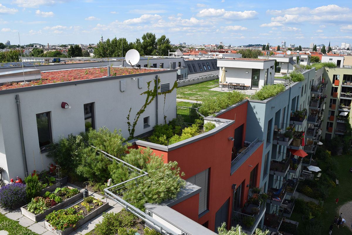 Extensivbegrünung und Intensivbegrünung in einem Berliner Wohnkomplex