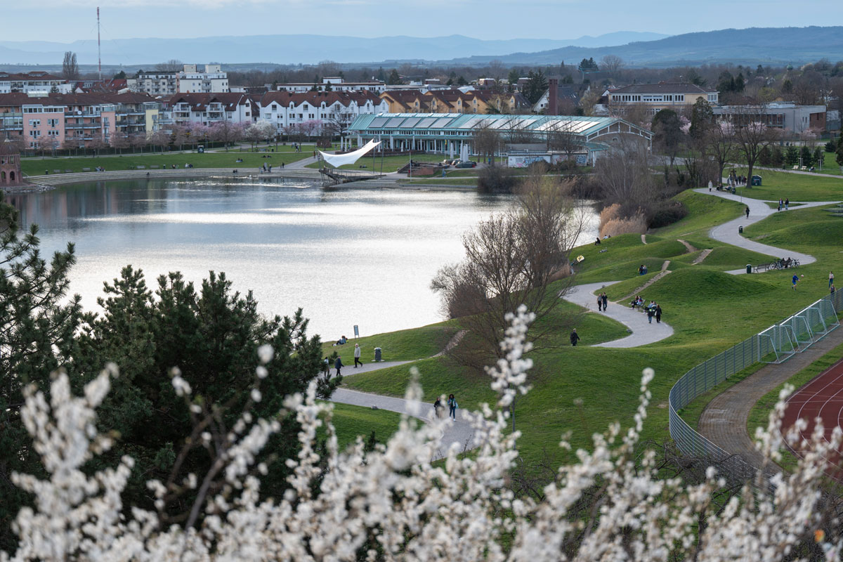Blick über den Seepark