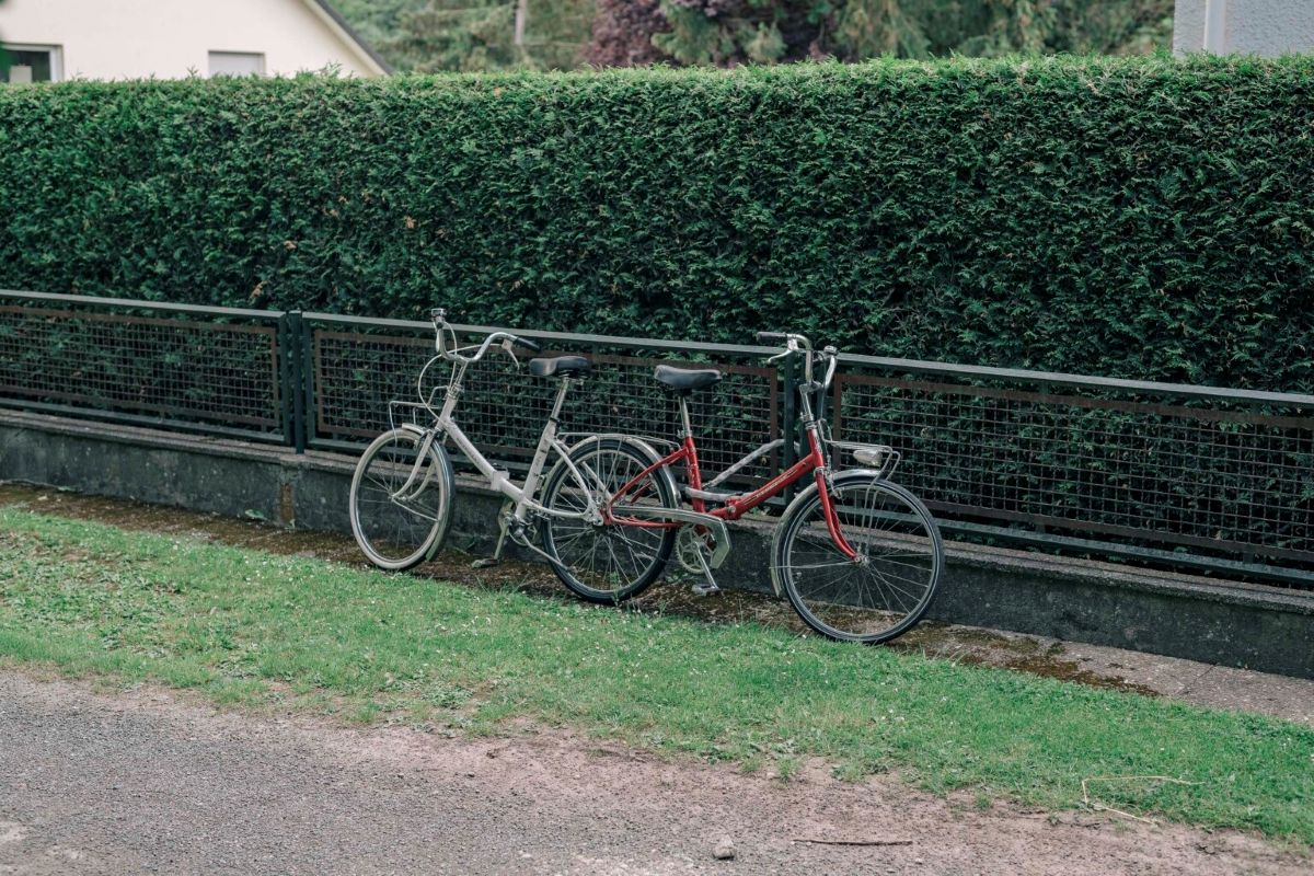 Zwei Fahrräder vor einer Hecke