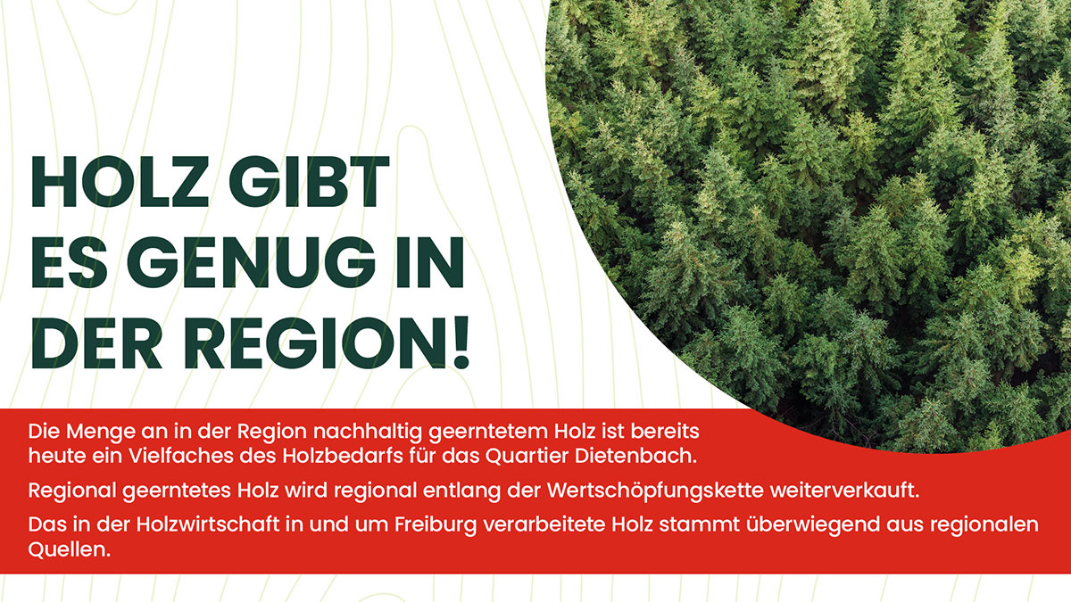 Holz gibt es genug in der Region!