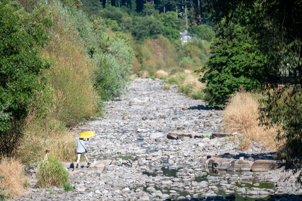 Ausgetrocknete Dreisam