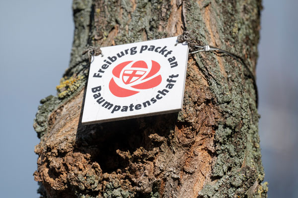 Baum mit Schild "Baumpatenschaft"