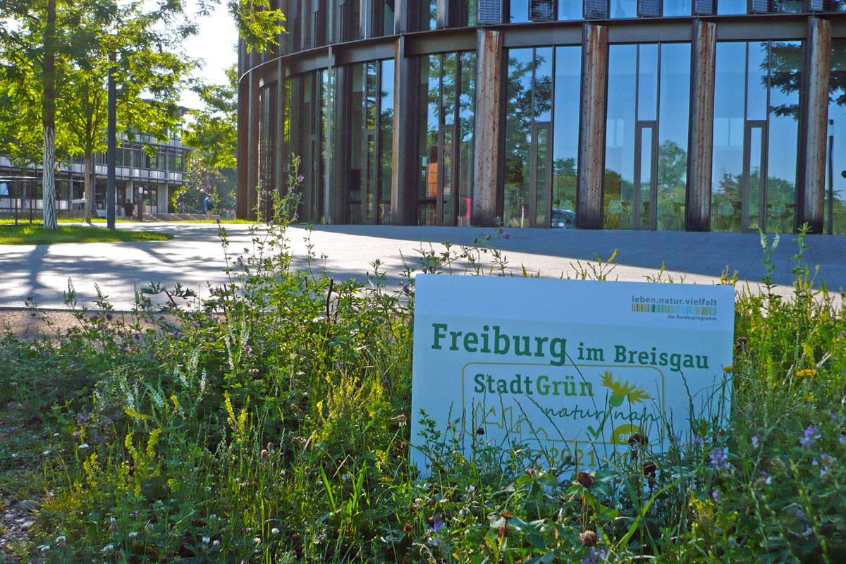 Schild mkit Label "Freiburg Stadt Grün" in einer Blumenwiese vor dem Rathaus im Stühlinger