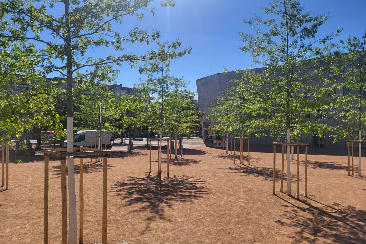 Großer Platz mit frisch gepflanzten Bäumen, Sonnenschein